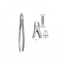 Pinza de extracción estrecha Fig. 2 para dientes frontales superiores - 