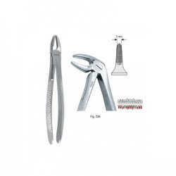 Pince d'extraction Fig. 33A étroit pour les racines inférieures - 