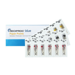 Papierspitzen RECIPROC BLUE / 144 Stück - 