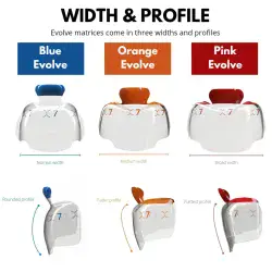 Matryce Bioclear Evolve Matrix – MOLAR i PREMOLAR